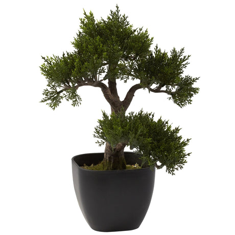 15” Artificial Cedar Bonsai Tree-Parc Decor