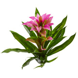 15” Artificial Bromeliad Flower (Set of 4)-Stem-Parc Decor