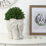 16” Boxwood Topiary Artificial Plant in Elephant Shaped Planter (Indoor/Outdoor)-Parc Decor