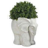 16” Boxwood Topiary Artificial Plant in Elephant Shaped Planter (Indoor/Outdoor)-Parc Decor