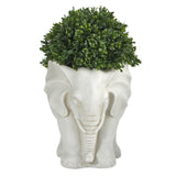 16” Boxwood Topiary Artificial Plant in Elephant Shaped Planter (Indoor/Outdoor)-Parc Decor