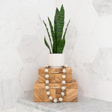 16" Artificial Sansevieria Snake Plant with Decorative Planter-Plant in Planter-Parc Decor