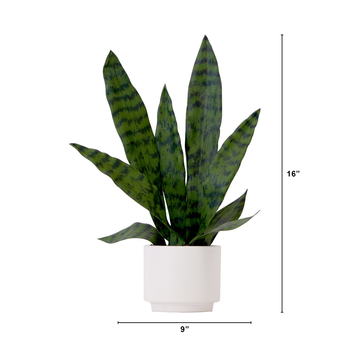 16" Artificial Sansevieria Snake Plant with Decorative Planter-Plant in Planter-Parc Decor