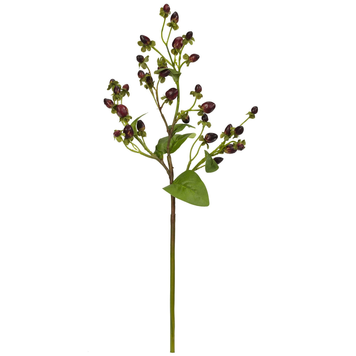 17” Italian Coffee Bean Artificial Flower (Set of 8)-Parc Decor