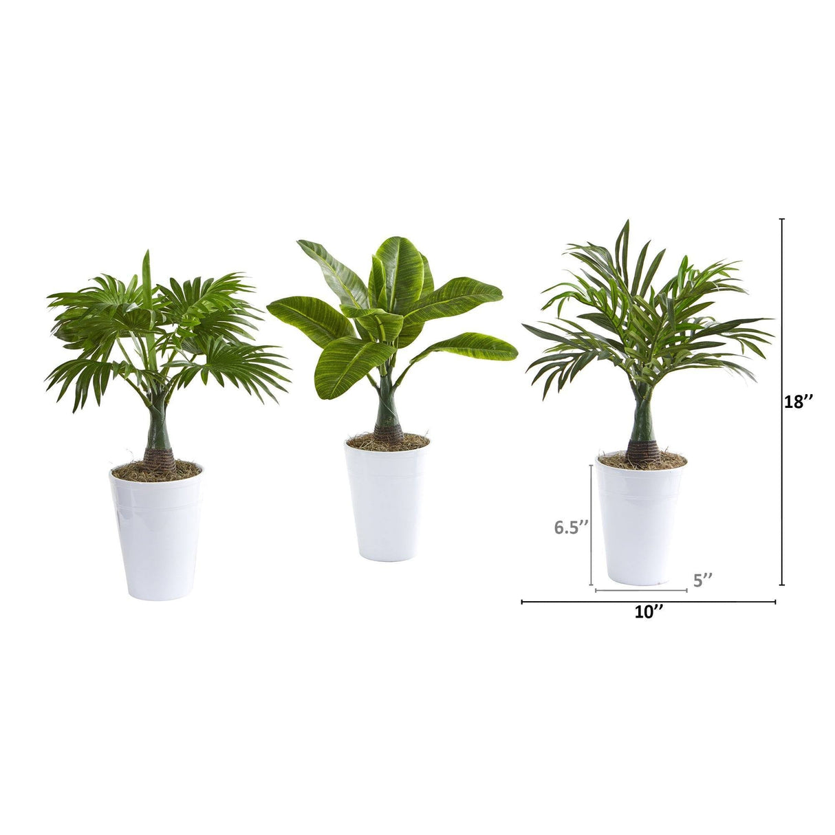 18” Assorted Mini Palm and Banana Artificial Plant in White Planter (Set of 3)-Parc Decor