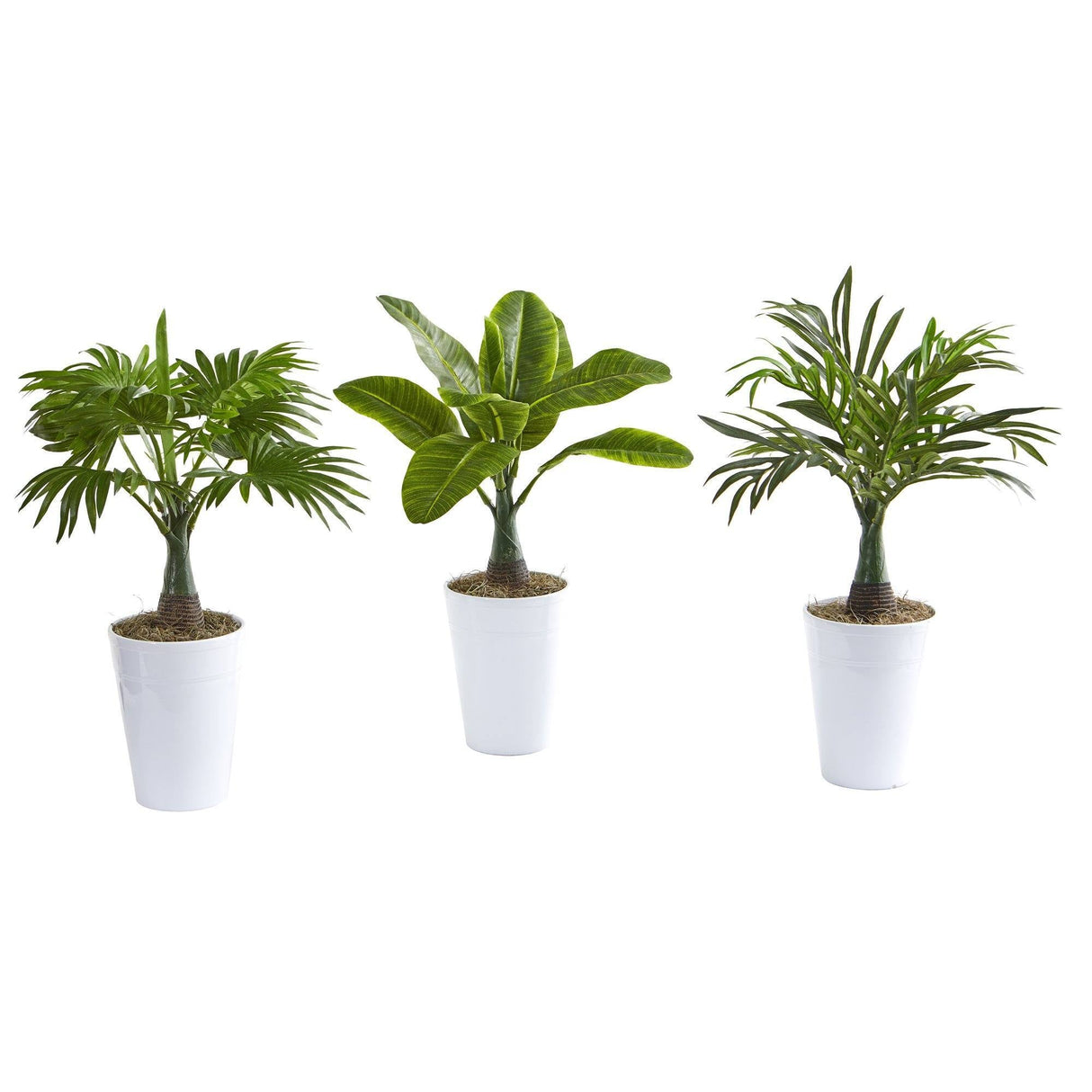 18” Assorted Mini Palm and Banana Artificial Plant in White Planter (Set of 3)-Parc Decor