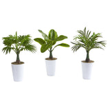 18” Assorted Mini Palm and Banana Artificial Plant in White Planter (Set of 3)-Parc Decor