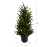 18” Cedar Artificial Tree with LED Lights UV Resistant (Indoor/Outdoor)-Parc Decor