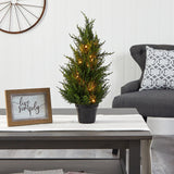 18” Cedar Artificial Tree with LED Lights UV Resistant (Indoor/Outdoor)-Parc Decor