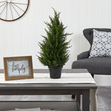 18” Cedar Artificial Tree with LED Lights UV Resistant (Indoor/Outdoor)-Parc Decor