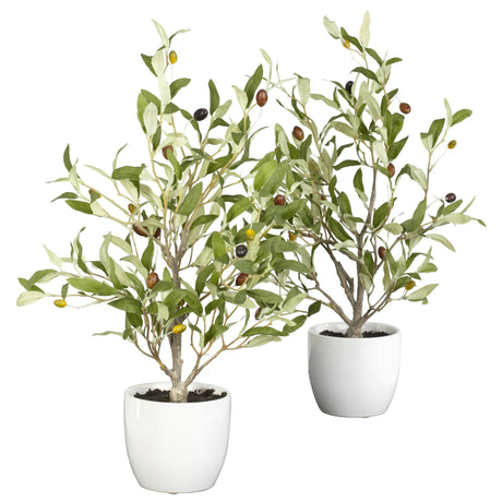 18" Olive Silk Tree w/Vase (Set of 2)"-Parc Decor