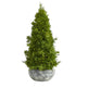 18” Cypress Cone Artificial Christmas Tree in Decorative Planter-Christmas Tree-Parc Decor