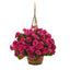 19” Geranium Hanging Basket UV Resistant (Indoor/Outdoor)