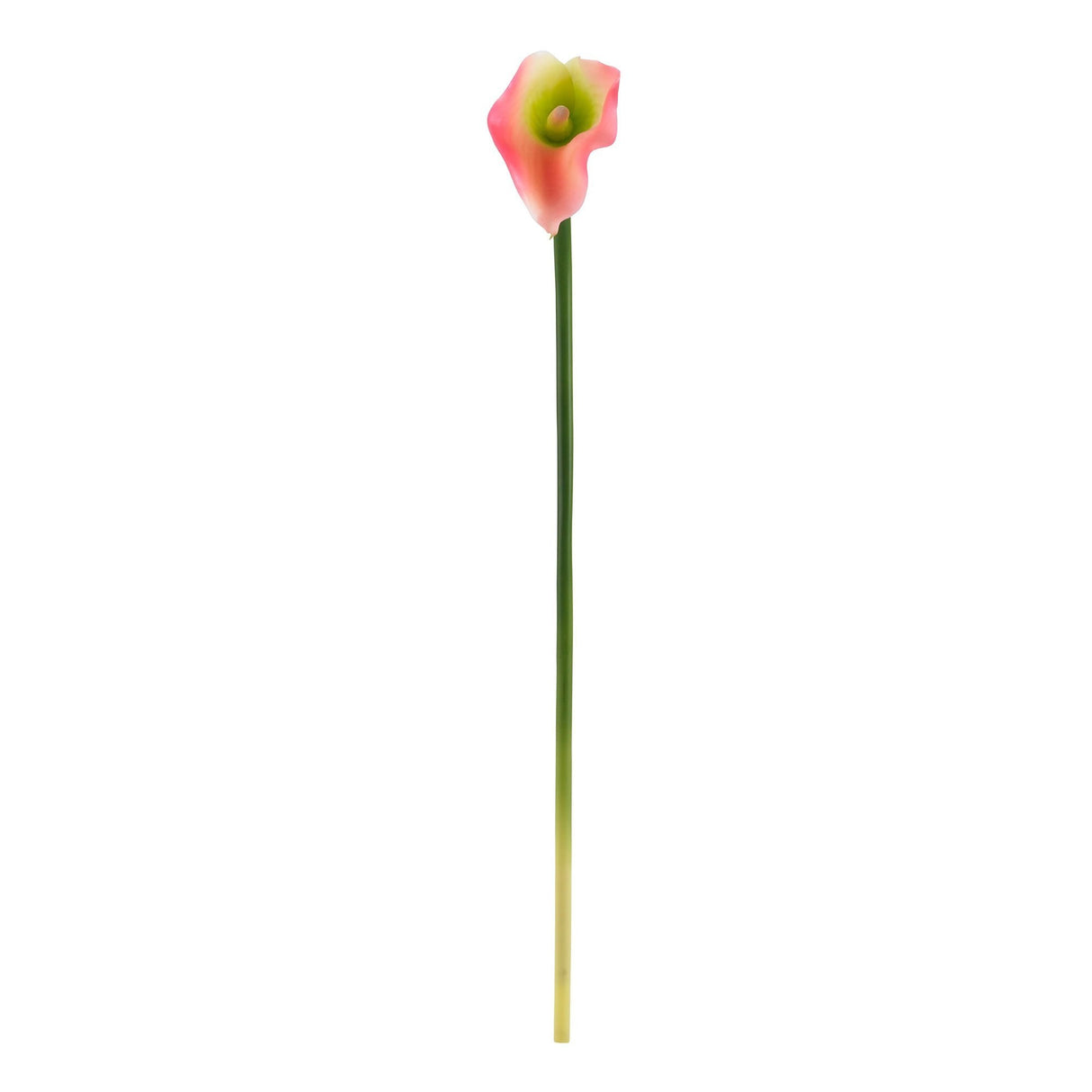 19.5” Calla Lily Artificial Flower (Set of 12)-Parc Decor