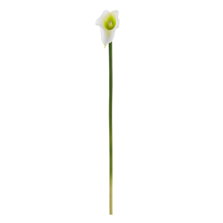 19.5” Calla Lily Artificial Flower (Set of 12)-Parc Decor