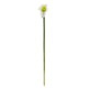 19.5” Calla Lily Artificial Flower (Set of 12)-Parc Decor