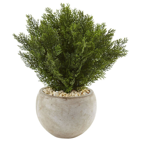 2’ Cedar in Sand Colored Bowl-Parc Decor