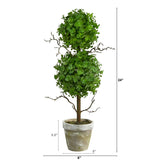 2’ Eucalyptus Double Ball Topiary Artificial Tree-Parc Decor