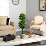 2’ Eucalyptus Double Ball Topiary Artificial Tree-Parc Decor