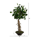 2’ Ficus Bonsai Artificial Tree in Decorative Planter-Parc Decor