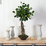 2’ Ficus Bonsai Artificial Tree in Decorative Planter-Parc Decor