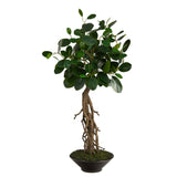 2’ Ficus Bonsai Artificial Tree in Decorative Planter-Parc Decor
