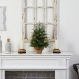 2’ Artificial Christmas Tree in Burlap Base with 35 Warm White LED Lights-Christmas Tree-Parc Decor