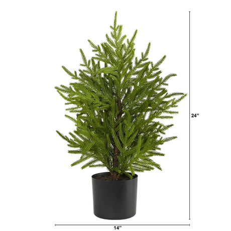 2’ Norfolk Island Pine “Natural Look” Artificial Christmas Tree in Decorative Planter-Christmas Tree-Parc Decor