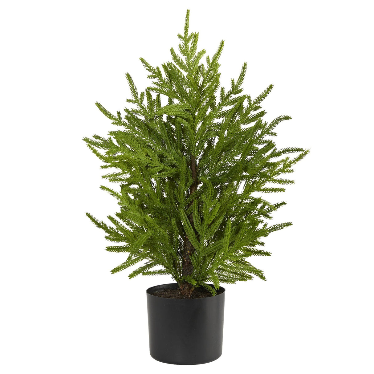 2’ Norfolk Island Pine “Natural Look” Artificial Christmas Tree in Decorative Planter-Christmas Tree-Parc Decor