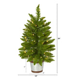 2’ Providence Pine Artificial Christmas Tree in Decorative Planter with 35 Warm White Lights and 51 Bendable Branches-Christmas Tree-Parc Decor