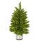 2’ Providence Pine Artificial Christmas Tree in Decorative Planter with 35 Warm White Lights and 51 Bendable Branches-Christmas Tree-Parc Decor