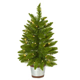 2’ Providence Pine Artificial Christmas Tree in Decorative Planter with 35 Warm White Lights and 51 Bendable Branches-Christmas Tree-Parc Decor