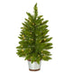 2’ Providence Pine Artificial Christmas Tree in Decorative Planter with 35 Warm White Lights and 51 Bendable Branches-Christmas Tree-Parc Decor