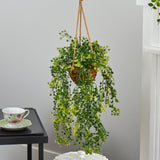 20” Baby Tear Artificial Plant in Hanging Basket-Parc Decor