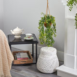 20” Baby Tear Artificial Plant in Hanging Basket-Parc Decor