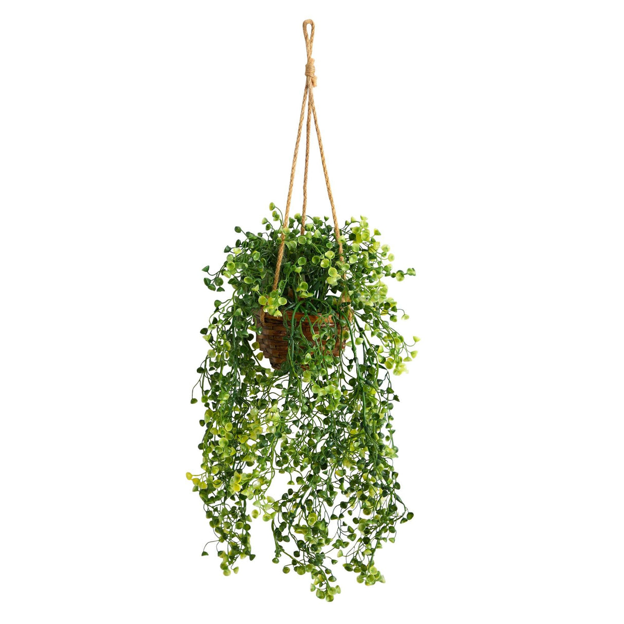 20” Baby Tear Artificial Plant in Hanging Basket-Parc Decor