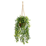 20” Baby Tear Artificial Plant in Hanging Basket-Parc Decor