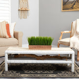 20” Vanilla Grass Artificial Plant in Decorative Planter-Parc Decor