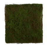 20” X 20” Artificial Moss Mat-Parc Decor