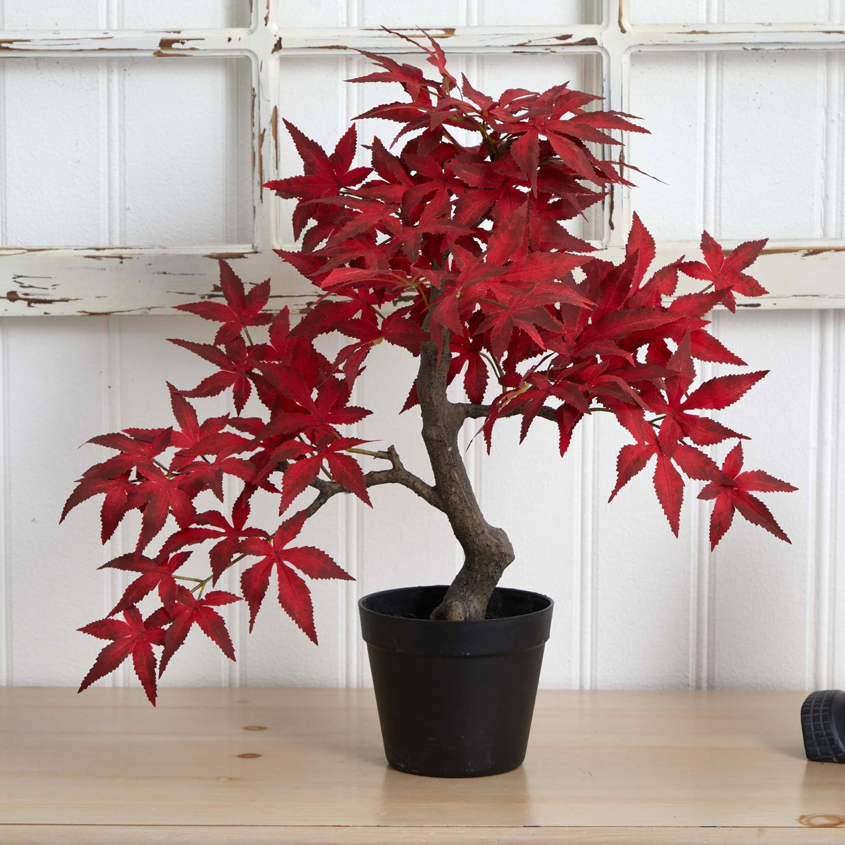 20” Autumn Maple Bonsai-Tree-Parc Decor