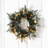20” Flocked Mixed Pine Artificial Christmas Wreath with 50 LED Lights, Pine Cones and Berries-Wreath-Parc Decor