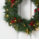 20” Frosted Pine Artificial Christmas Wreath with Pinecones, Berries and 35 Warm White LED Lights-Wreath-Parc Decor