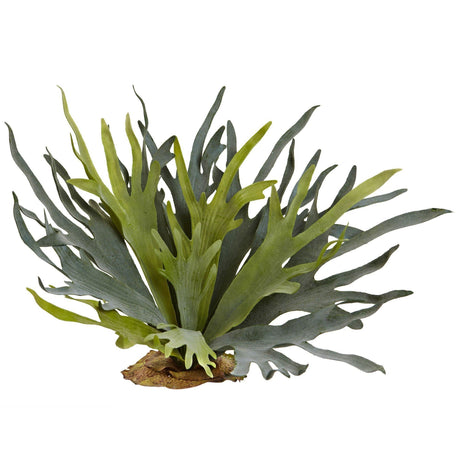 21” Staghorn Fern (Set of 2)-Parc Decor