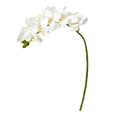 21” Artificial Phalaenopsis Orchid Flower (Set of 6)-Stem-Parc Decor