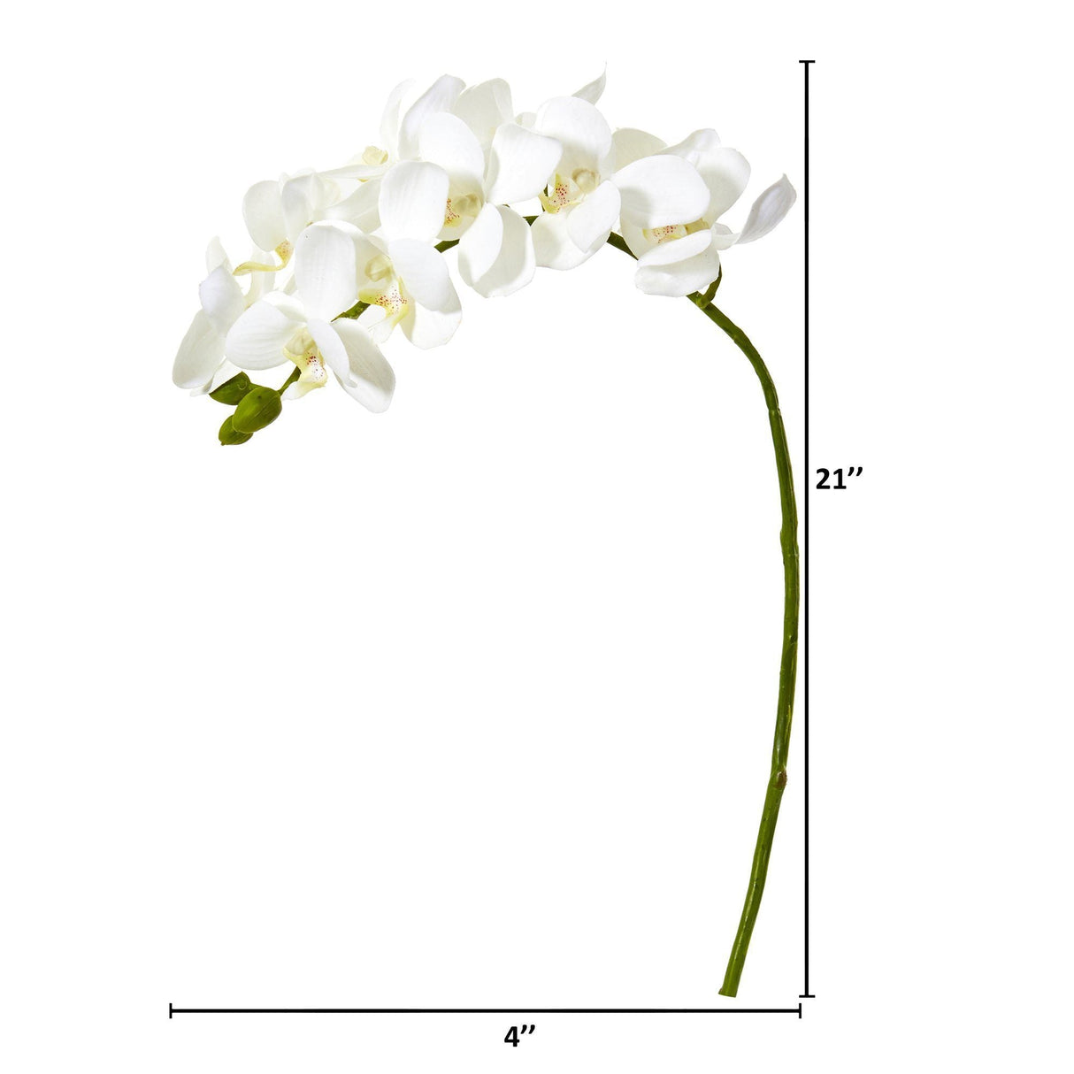 21” Artificial Phalaenopsis Orchid Flower (Set of 6)-Stem-Parc Decor