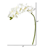 21” Artificial Phalaenopsis Orchid Flower (Set of 6)-Stem-Parc Decor