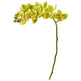 21” Artificial Phalaenopsis Orchid Flower (Set of 6)-Stem-Parc Decor