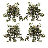 21” Hoya Hanging Bush (Set of 4)-Plant-Parc Decor