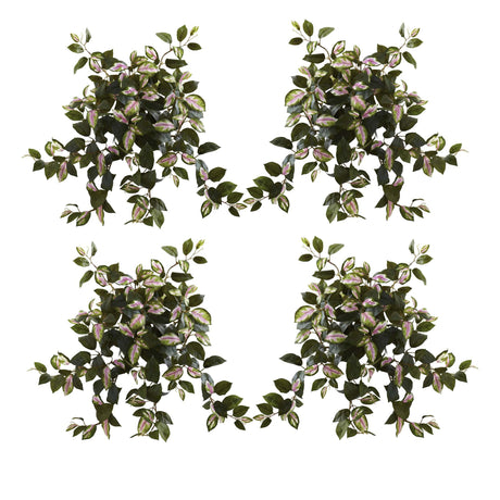 21” Hoya Hanging Bush (Set of 4)-Plant-Parc Decor