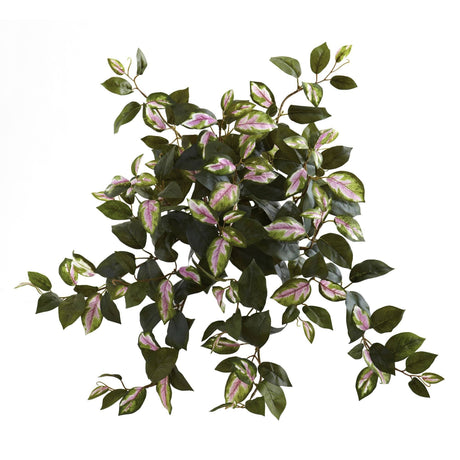 21” Hoya Hanging Bush (Set of 4)-Plant-Parc Decor